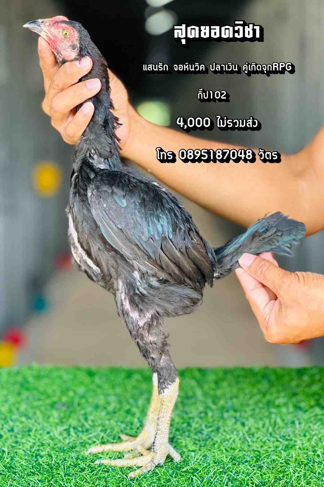 noomrongmee