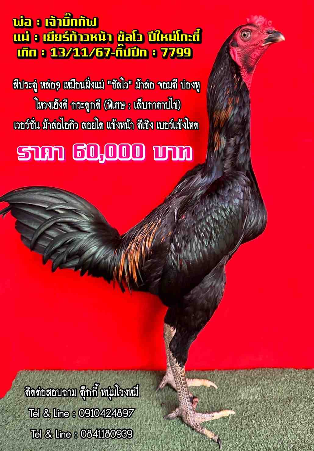 noomrongmee