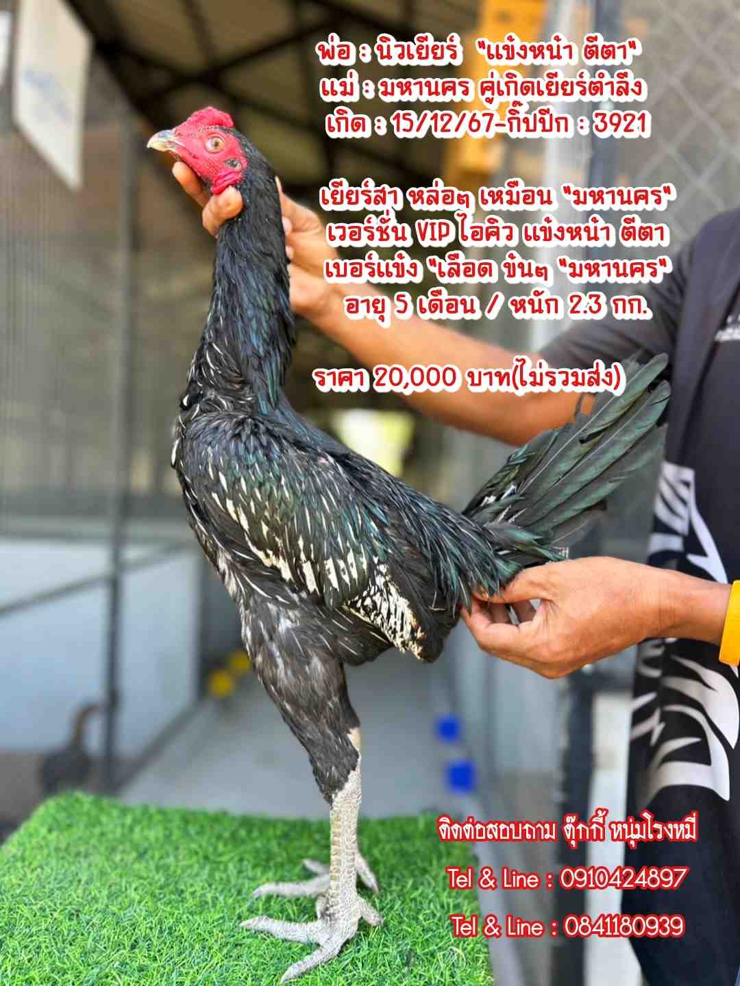 noomrongmee