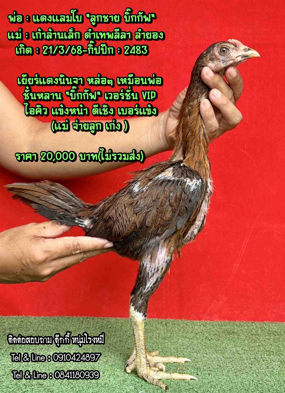 noomrongmee