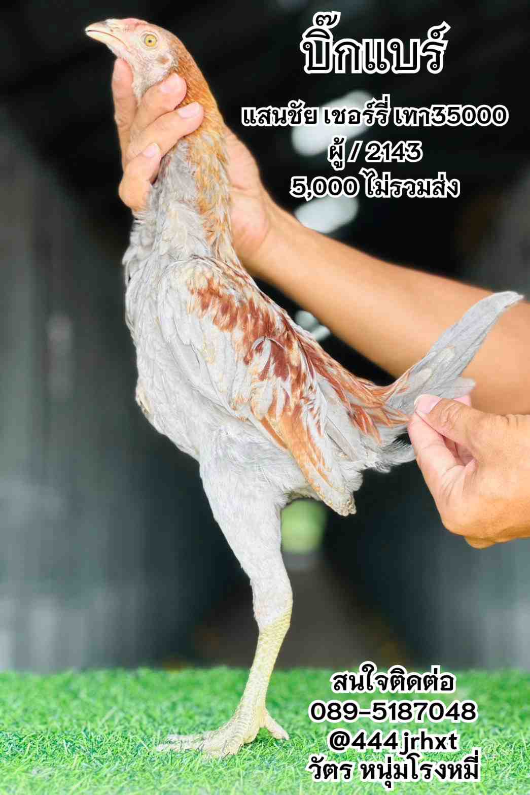 noomrongmee