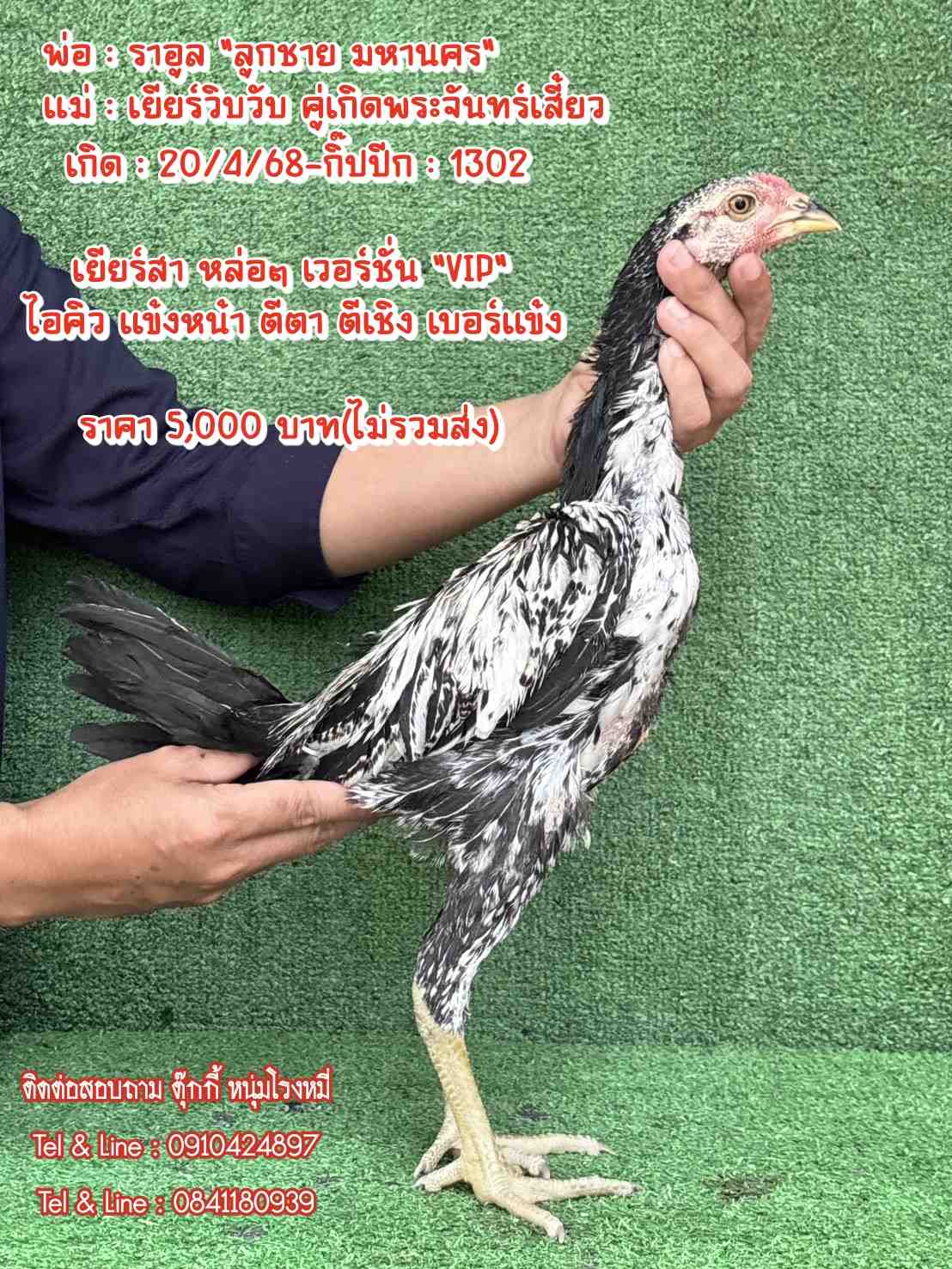 noomrongmee