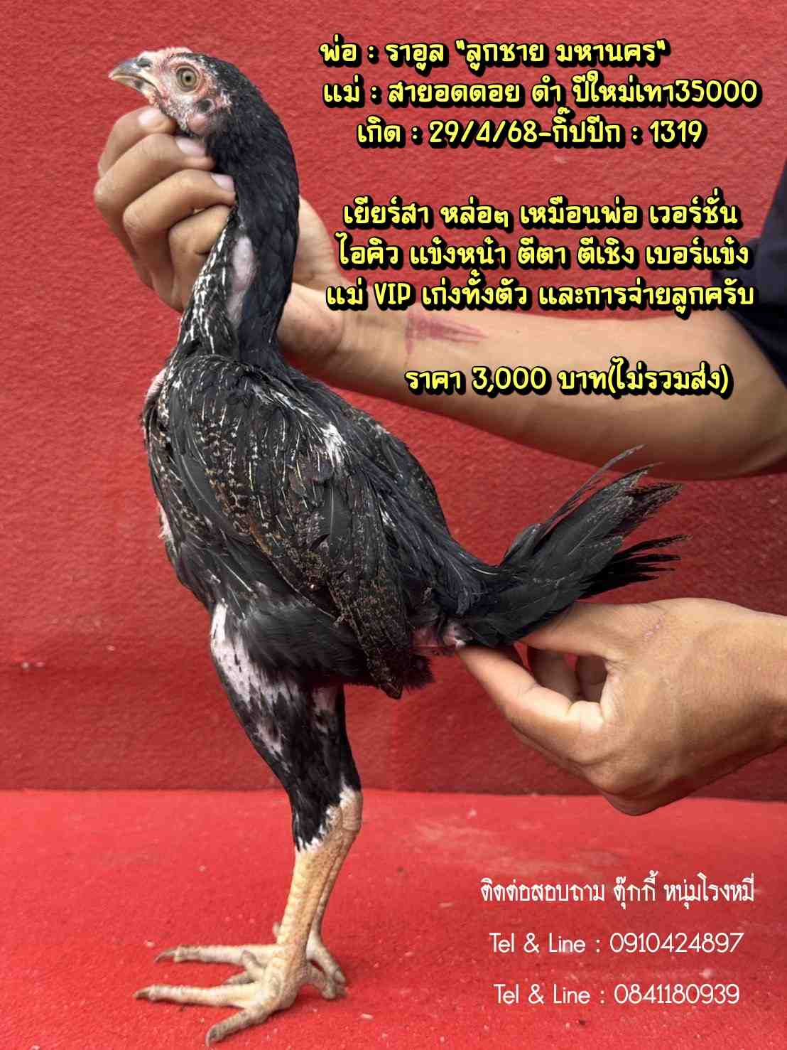 noomrongmee