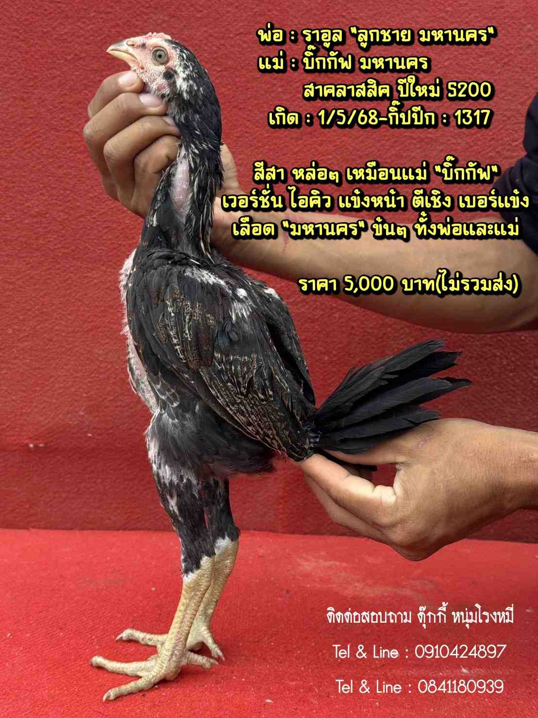 noomrongmee