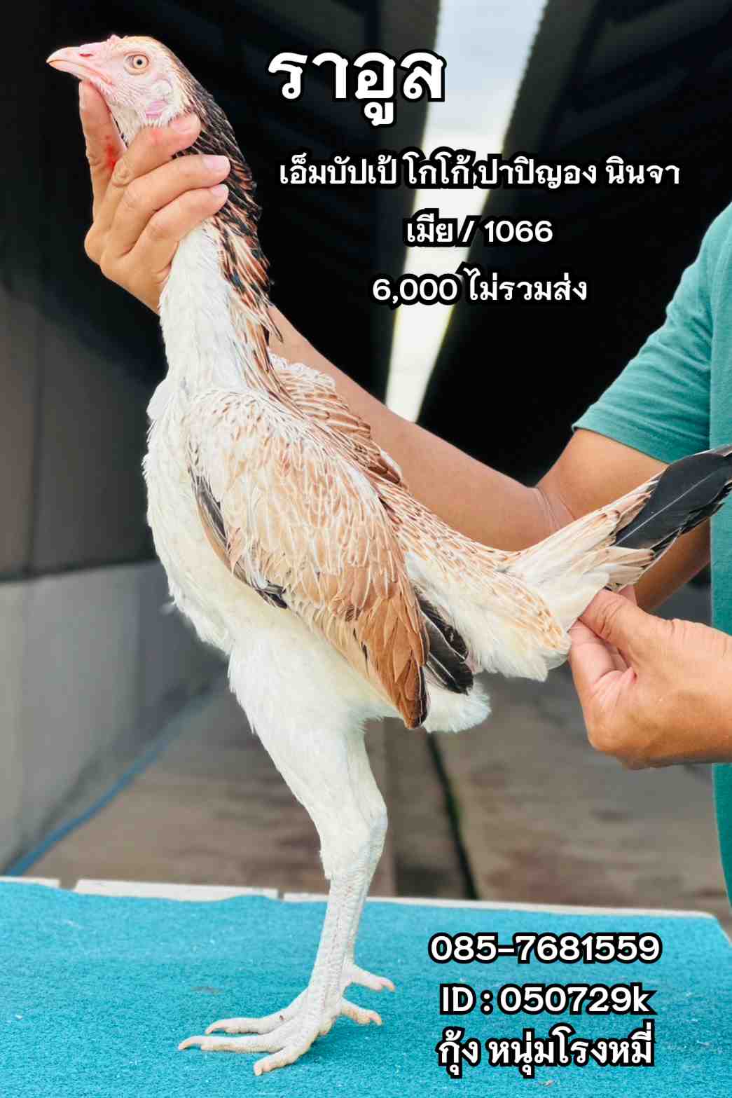 noomrongmee