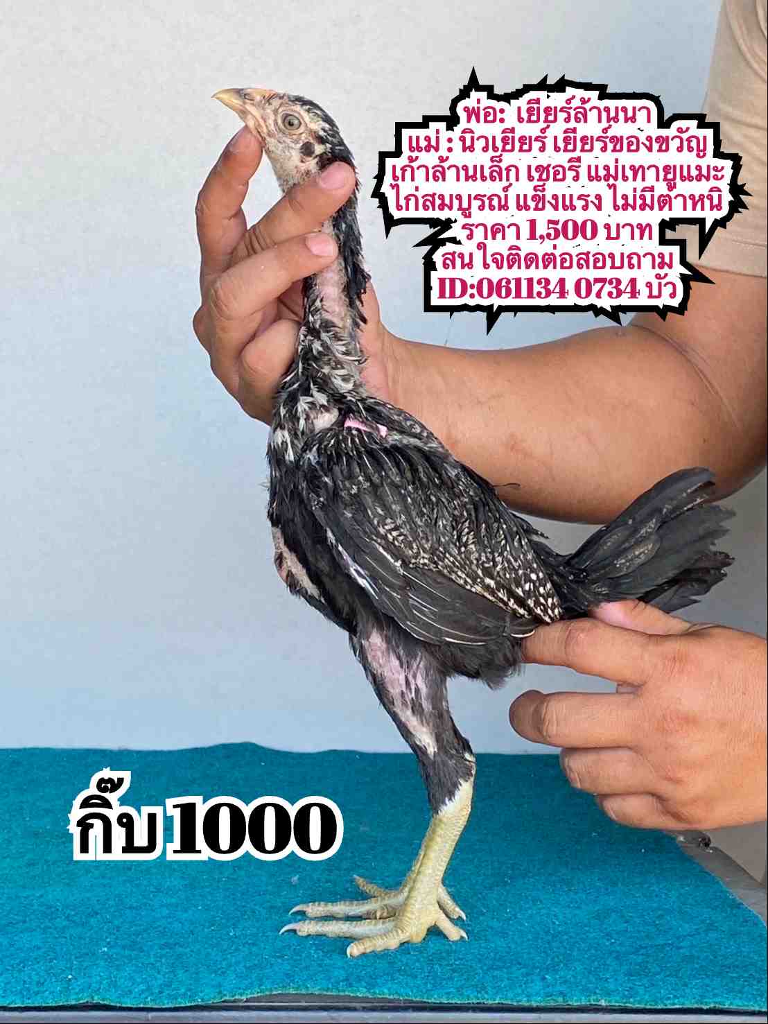 noomrongmee
