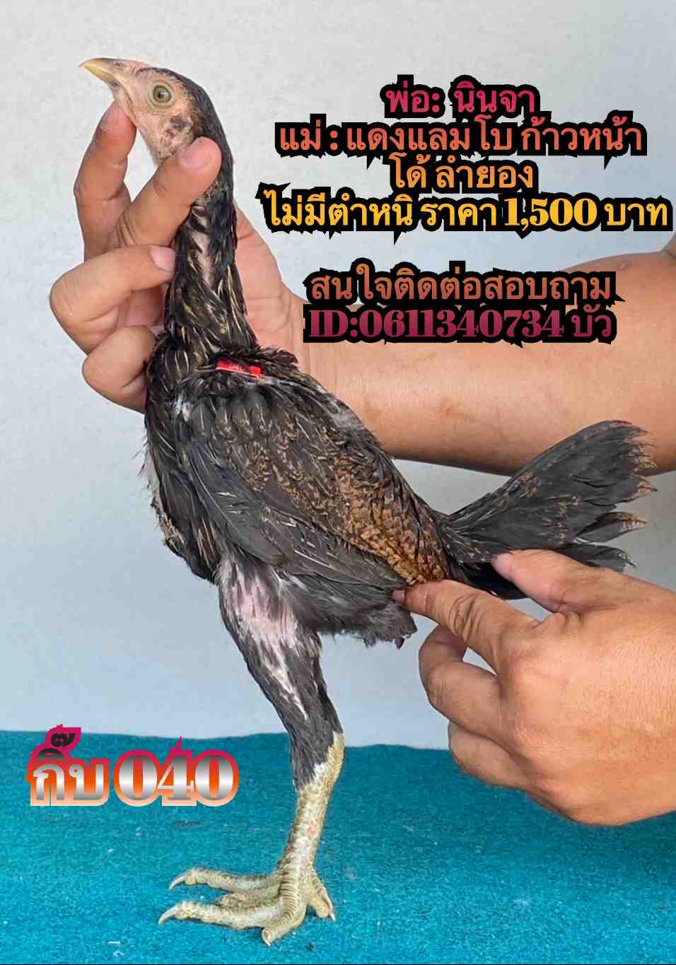 noomrongmee