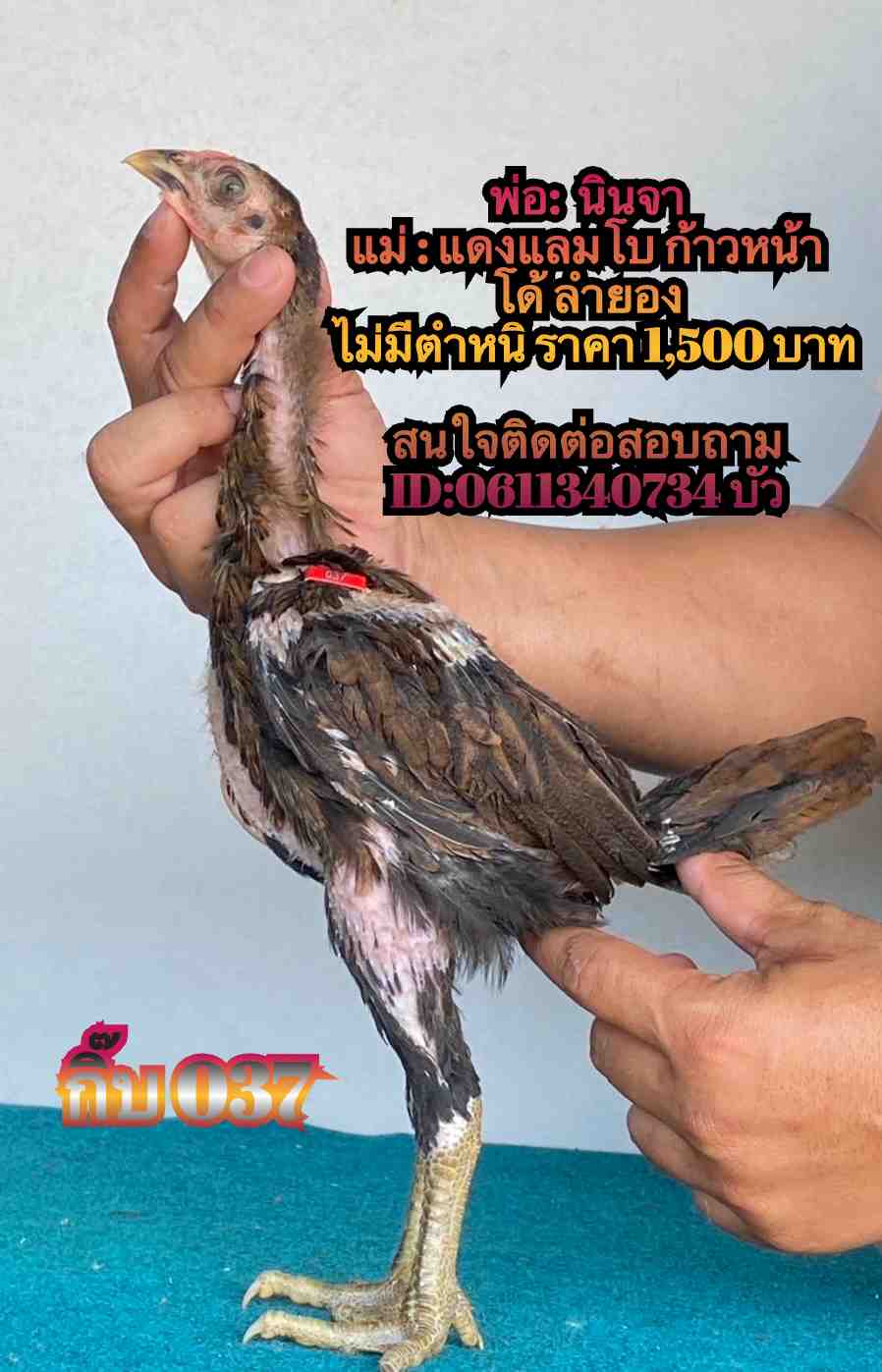 noomrongmee