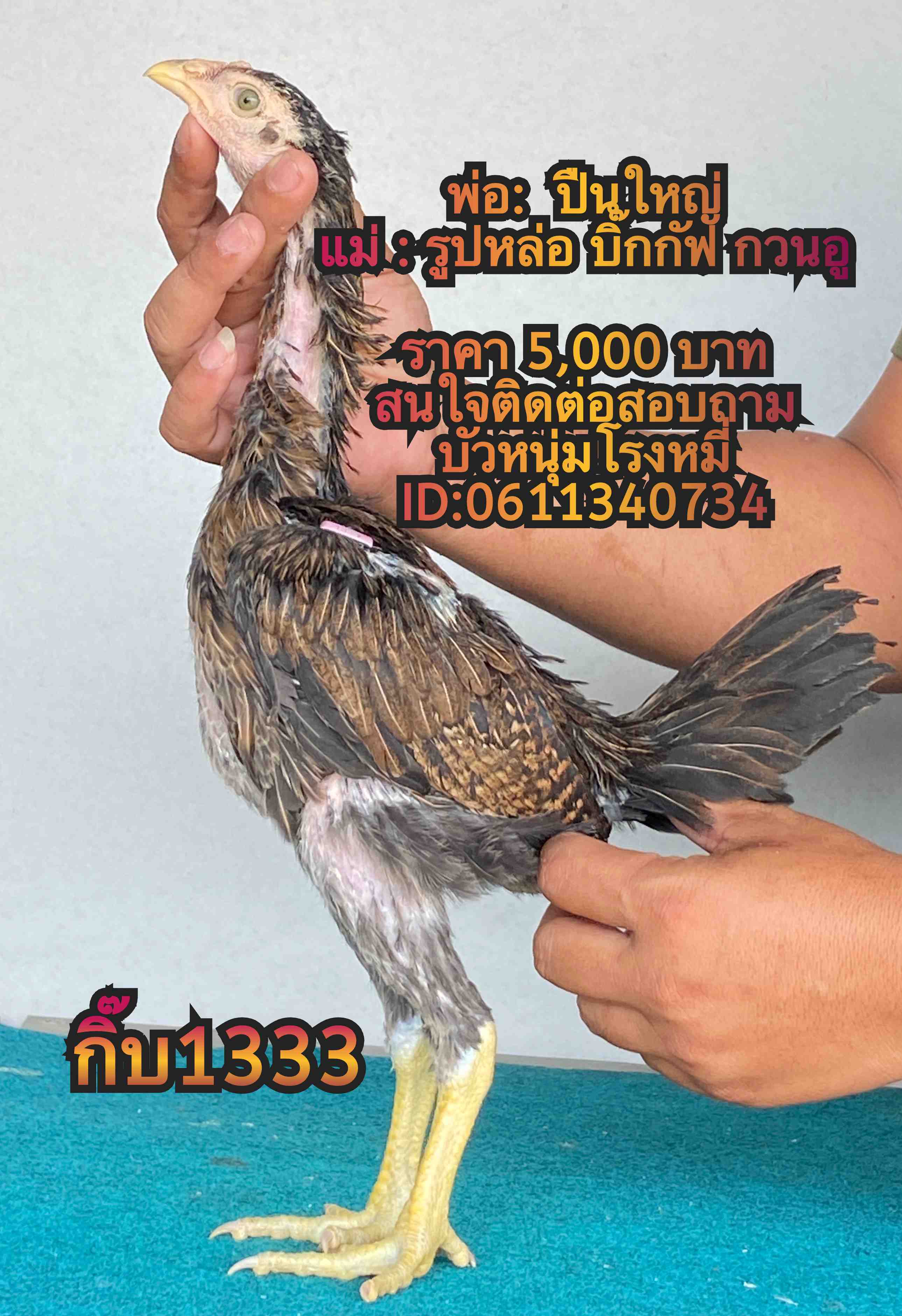 noomrongmee