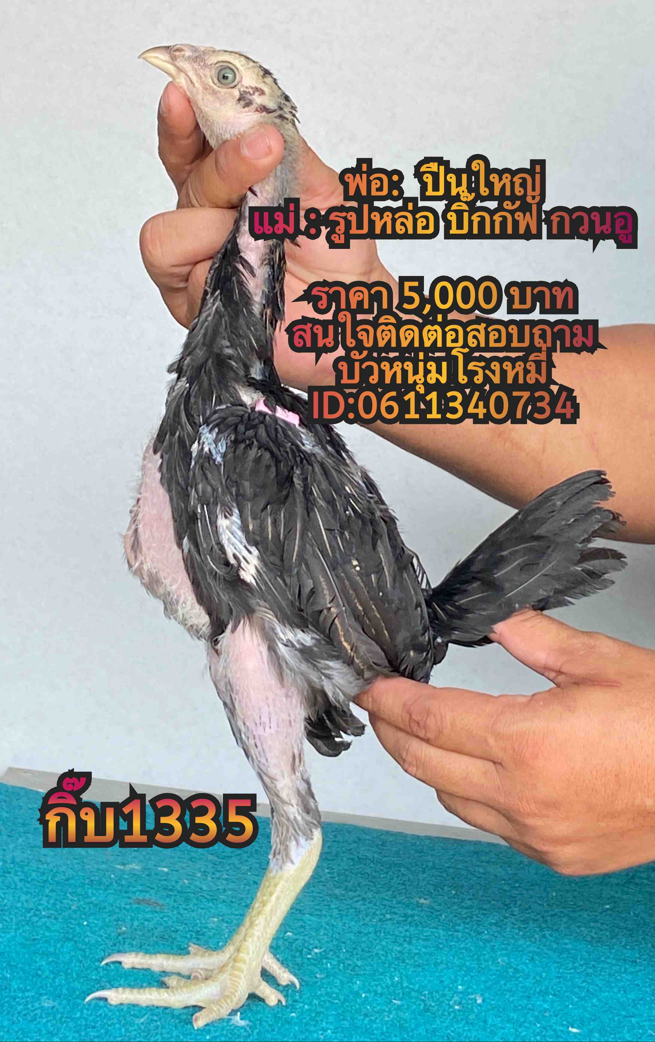 noomrongmee