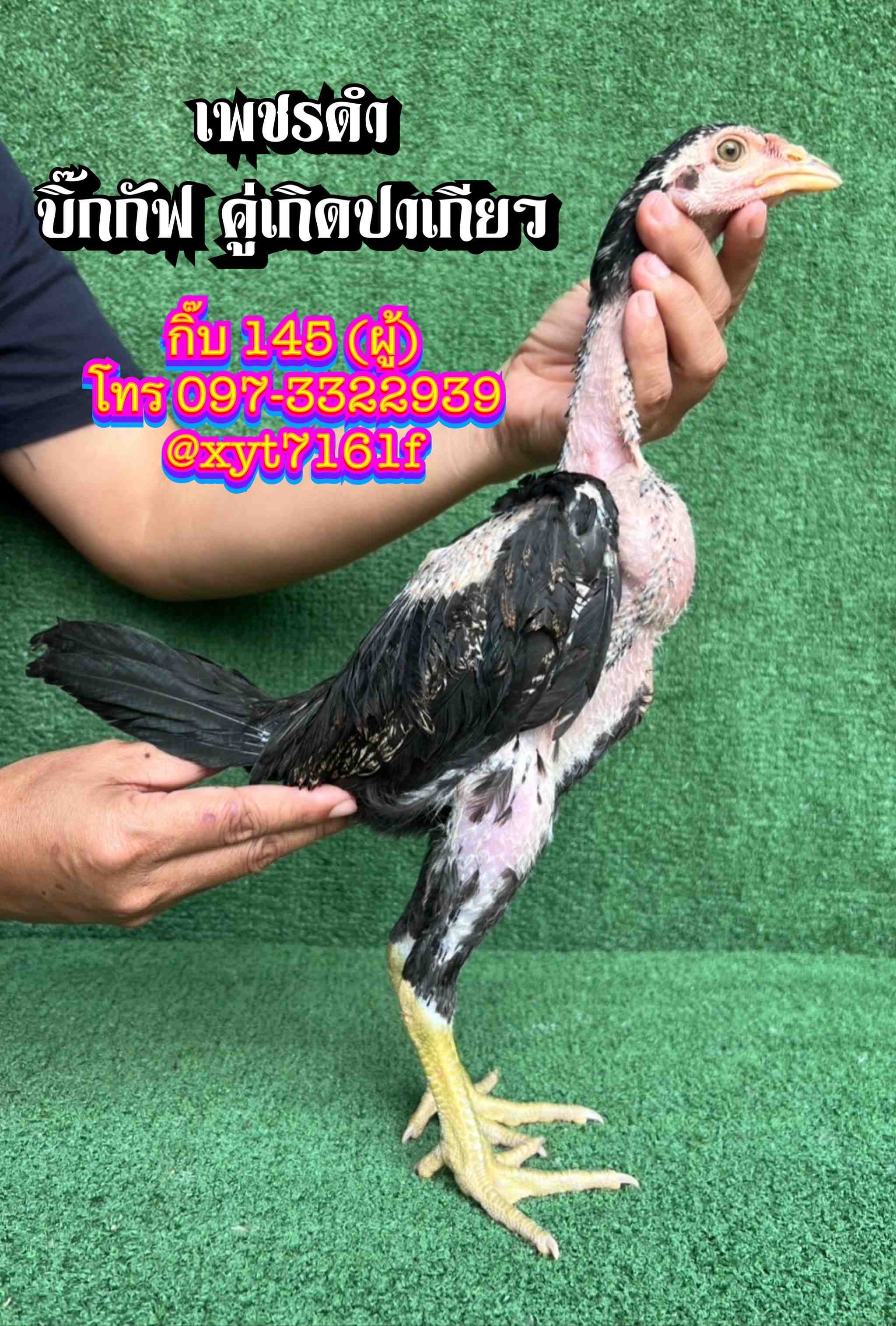noomrongmee