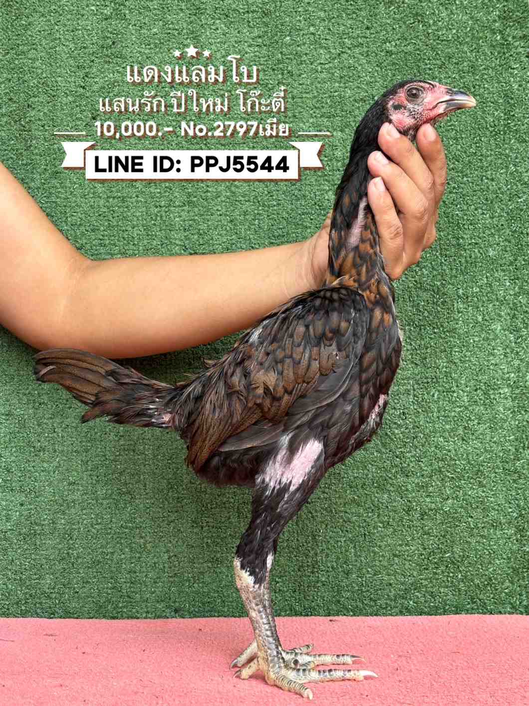 noomrongmee