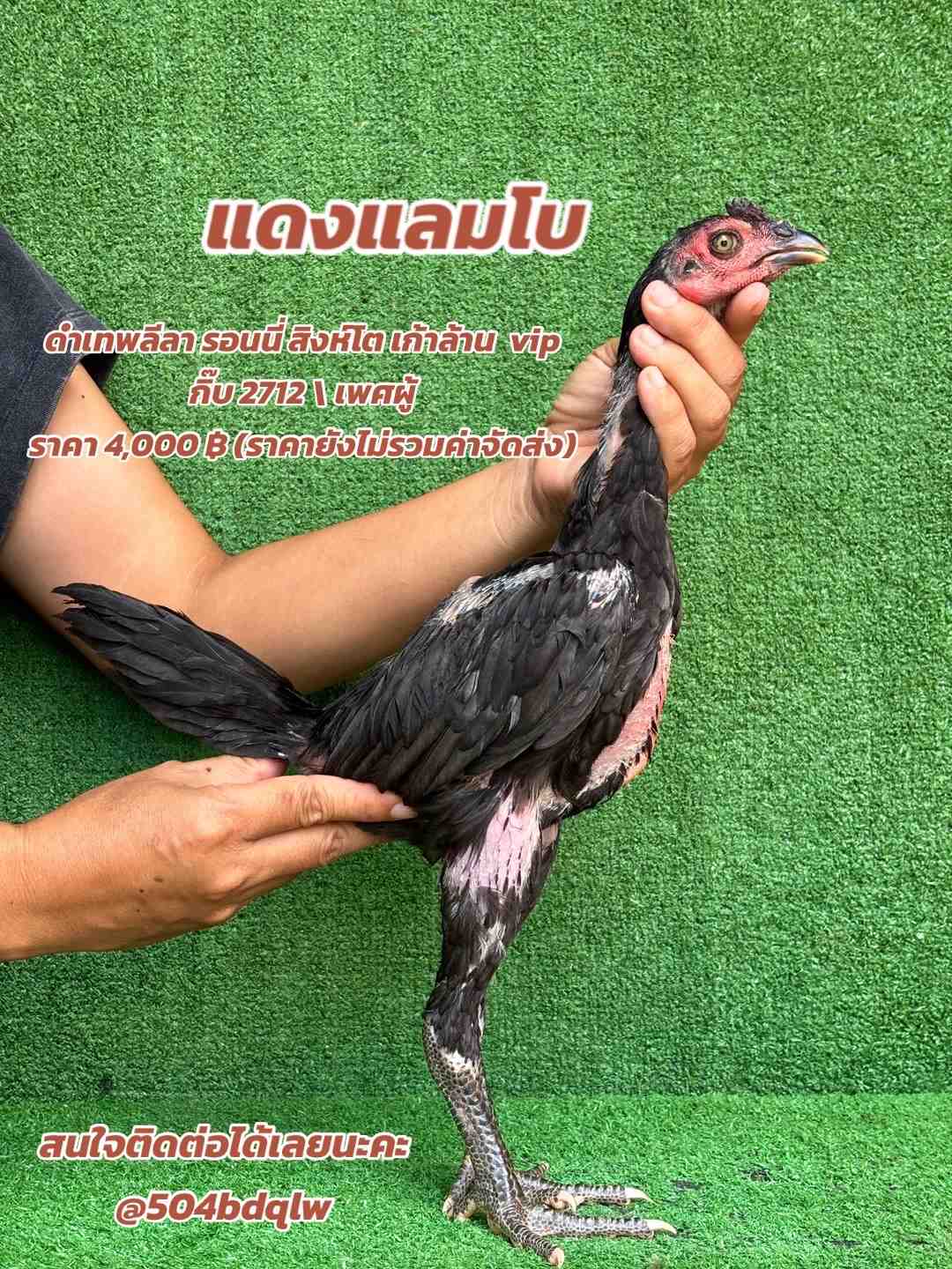 noomrongmee