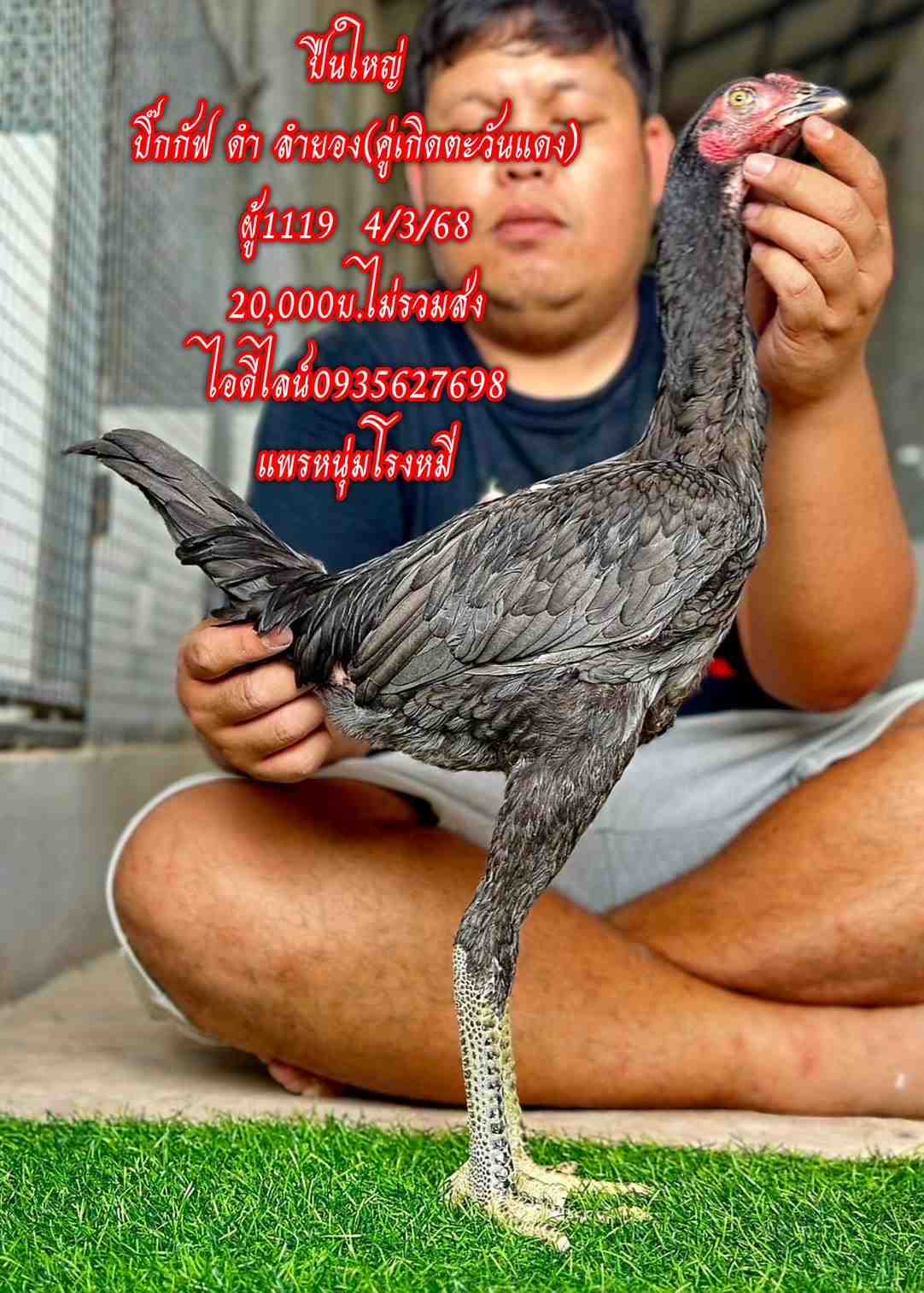 noomrongmee