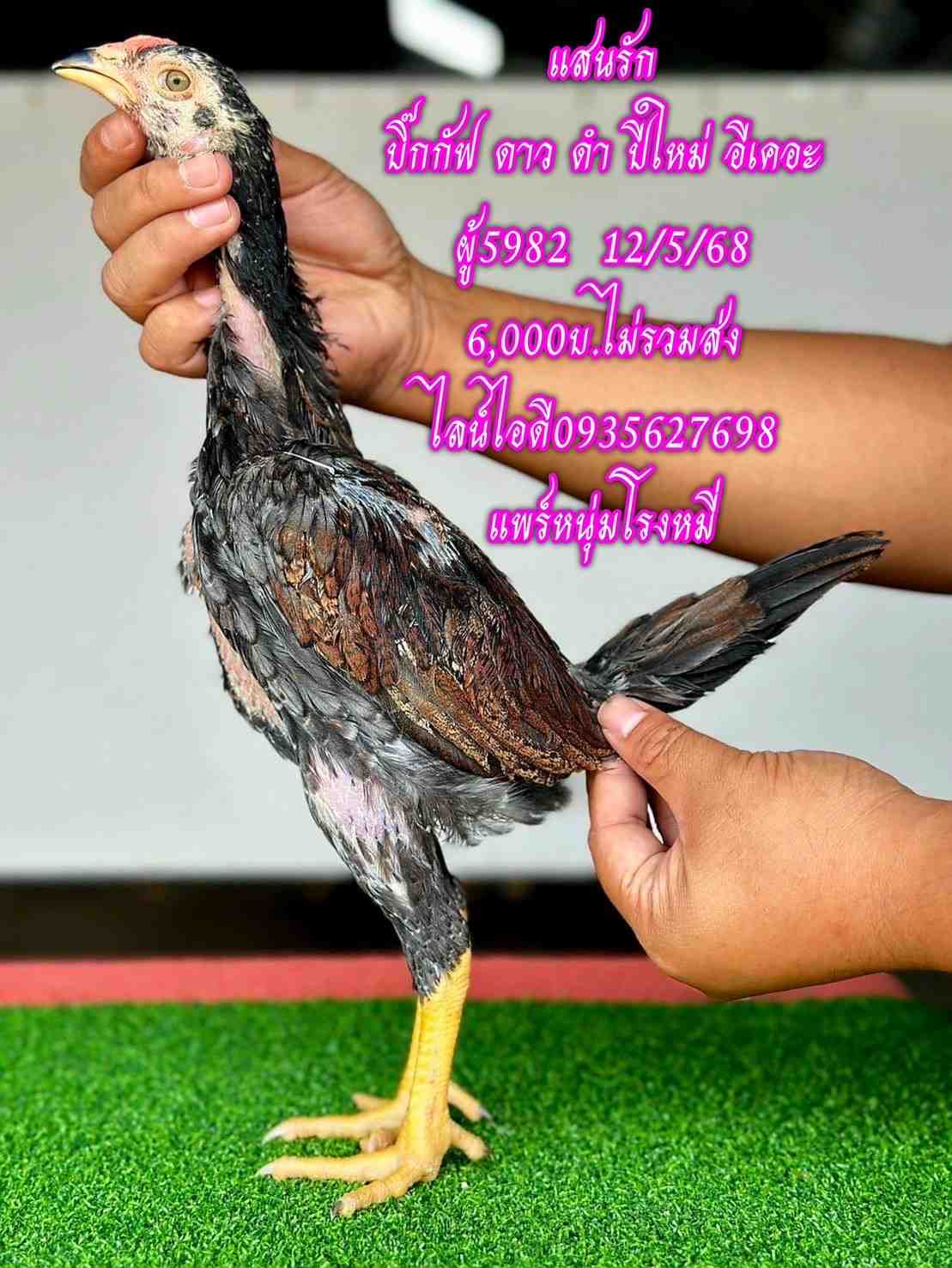 noomrongmee